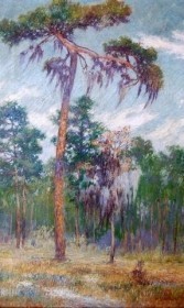 Bierce, Harry. Tampa. Lupine Time, Tampa. Exhibited Student Art Club, Tampa Public Library, May 1922. Oil on canvas, 16 and one quarter by 26 inches.