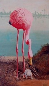 Bowman, Alfred. Tampa. Flamingo and Chick. OIl on board, 14 by 23 inches.