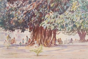 Dennis, Morgan. Ft. Myers, The Banyan Tree. Watercolor, 12 three quarters by 19 inches.