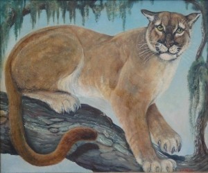 Escudero, Stanleyh Dean. Florida Panther, Daytona Beach.