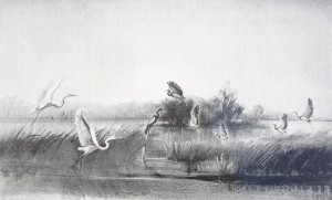 HUNTLEY, VICTORIA HUDSON, WINTER PARK. 1951