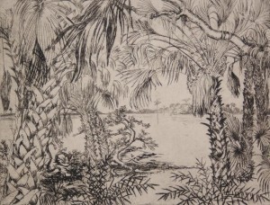 Hill, Polly Knipp. Pametto Jungle. Etching, 7 by 9 inches. 60 of 67.