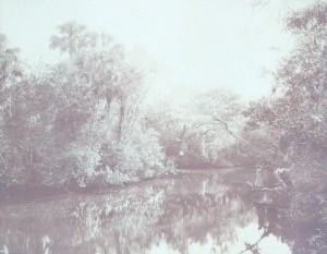 Jackson, William Henry. The Tomoka Near Ormond Beach. 2