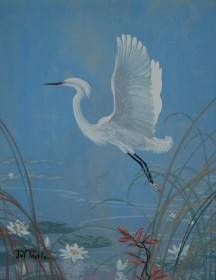 Postel, Joy. Little Snowy Egret and Wild Hibiscus. Oil on board, 14 by 18 inches.