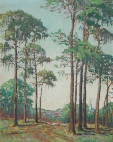 Redfield, Mary B. Clearwater. Florida Pines. Oil on board, 16 by 20 inches.