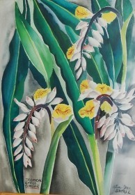 Small, Alice Jean. University of Tampa. Tropical Shell Ginger. Watercolor, 15 and one half by 21 inches.