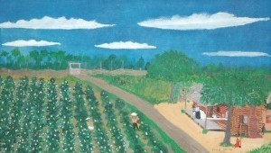 Smith, Frog. Ft. Myers. Cotton Field. Oil on board, 14 by 24 inches.