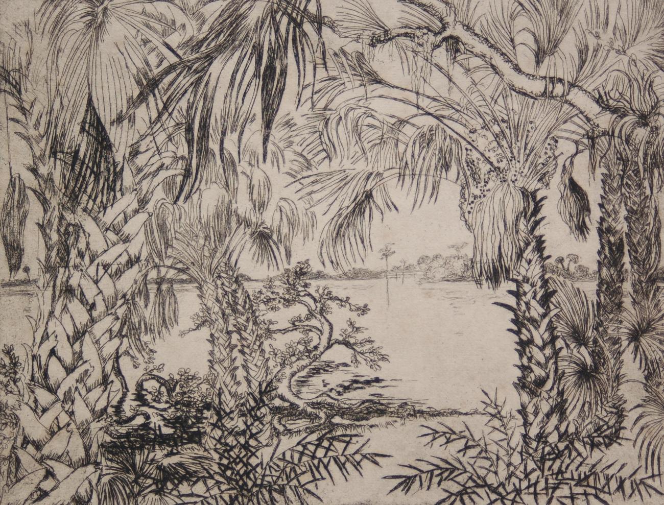 Hill, Polly Knipp. Pametto Jungle. Etching, 7 by 9 inches. 60 of 67 ...